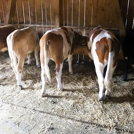 Farm Geislerhof * Герлос