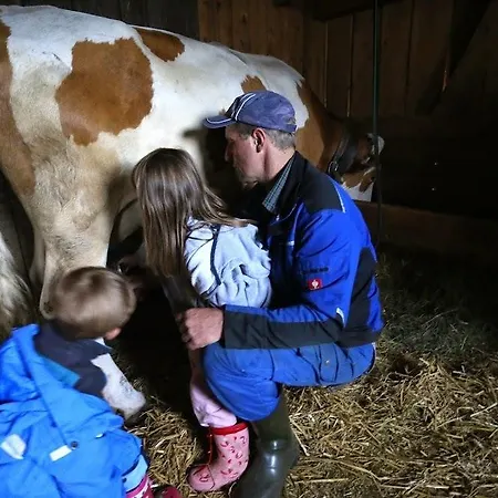 Апартаменты Farm Geislerhof