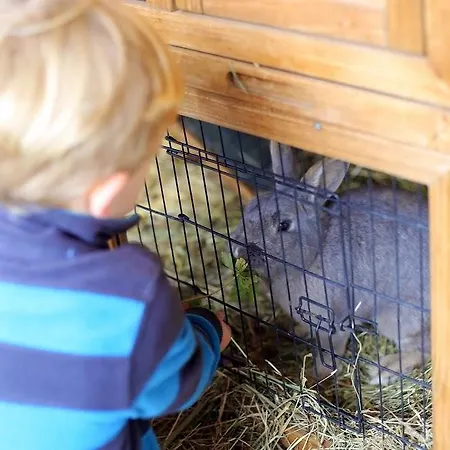 Апартаменты Farm Geislerhof *