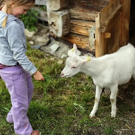 Farm Geislerhof Апартаменты *
