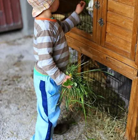 Апартаменты Farm Geislerhof Герлос