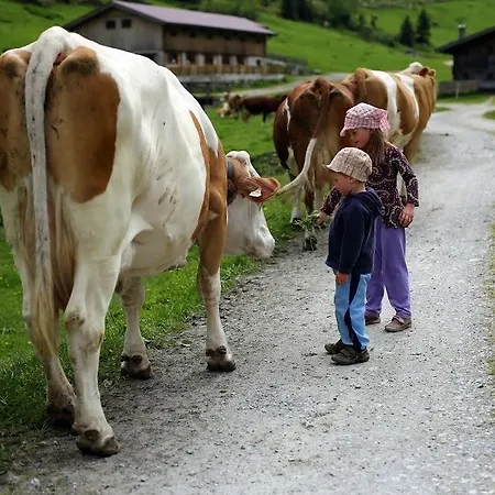 Farm Geislerhof アパート