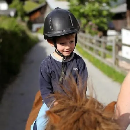 Farm Geislerhof *